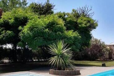 Bed and Breakfast Posada De Campo Viña Alta