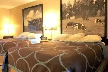 汽车旅馆  Super 8 By Wyndham Dodgeville