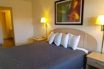 汽车旅馆  Americas Best Value Inn Eloy Casa Grande