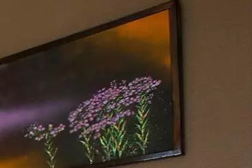 Hotel Hanare No Yado Kamigakure