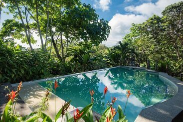 Отель Jungle Lodge At Wild Sun Rescue Center