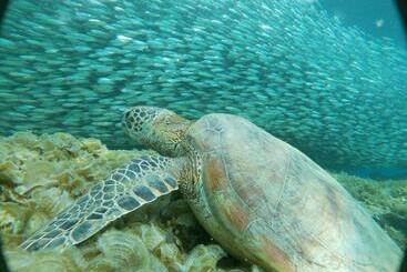 Hotel Marina Village