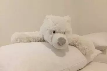 Turistihuoneistot La Tanière De L Ours Blanc Aubagne Cassis Aix En Provence