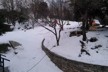 Majatalo Pangeo Forest Village