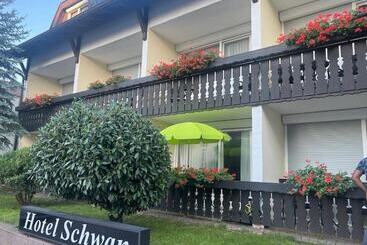 هتل Schwan