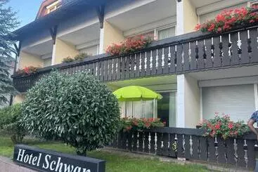 ホテル Schwan