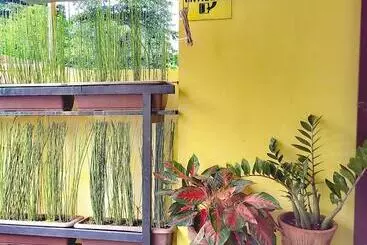 Hôtel Yellowpad