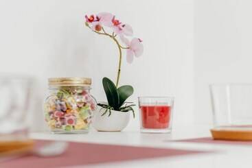 Pension Sia Downtown Apartments