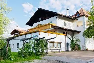 ホテル Gasthof Zum Grünen Baum