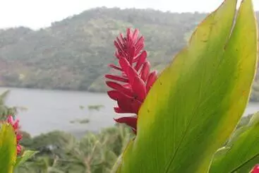 Bed and Breakfast Bamboo Villa Kandy