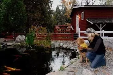 Retkeilymaja Silver Pines Lodge