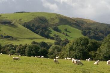 Mökkimajoitus Pant Glas Barn
