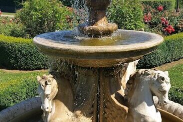 פנסיון Brookfield Guest House