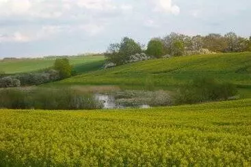 Majatalo Das Haus Am Teich