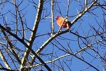 Gulfway Motel And Restaurant