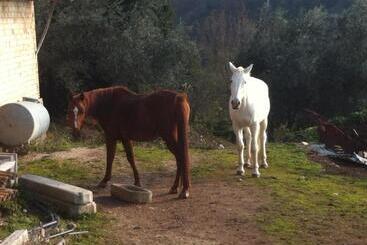 ホテル Agriturismo Villa Gabbiano