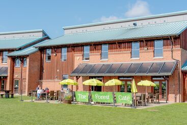 Yha National Forest Hostel