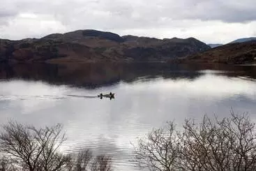 酒店 Carrig Country House