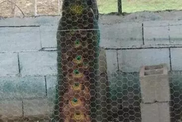 Hotelli Granja El Aromo