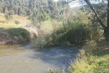 פנסיון Clydesdale On Lions River