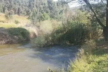 ペンション Clydesdale On Lions River