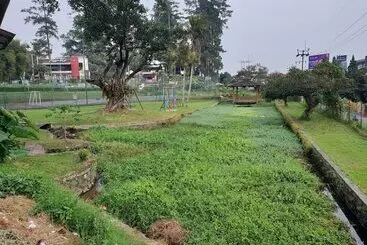 Bed and Breakfast Cisarua Indah Cottage