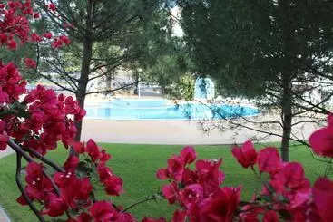 Apartamentos Pine Sun Park
