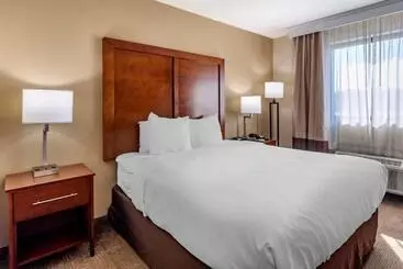 酒店 Comfort Inn Nashville West