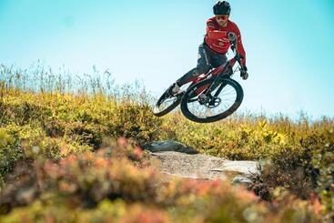 酒店 Catrina Lodge