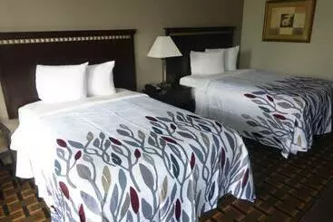 호텔 Red Roof Inn Evergreen