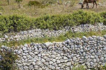 בית מלון כפרי Agriturismo La Palascìa