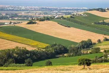 田舎風ホテル La Viola E Il Sole