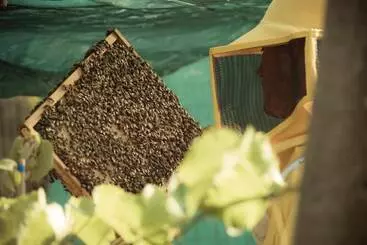 Maaseutuhotelli Casa Bassetto