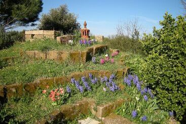 בית מלון כפרי Agriturismo Solidor