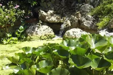 Bed and Breakfast La Cascata