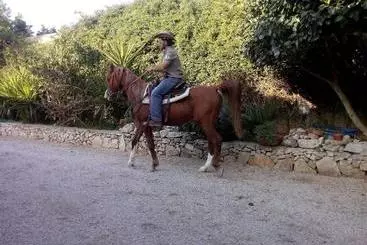 Bed and Breakfast Casato Calabrese