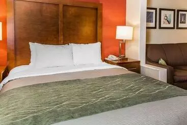 Otel Comfort Inn Boston