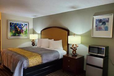 モーテル Palmetto Inn And Suites