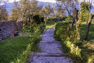 Assos Dionysos Hotel Special Class Adults Only