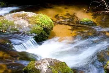 モーテル Marysville Holiday Park