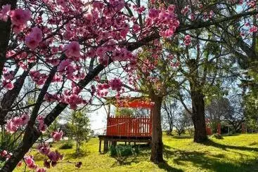 モーテル Poplars Inn Mittagong