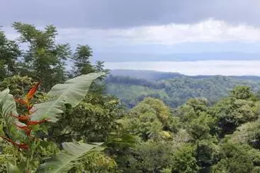 ホテル Finca Sueno De Osa