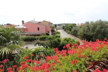 Rooms And Apartments Sally