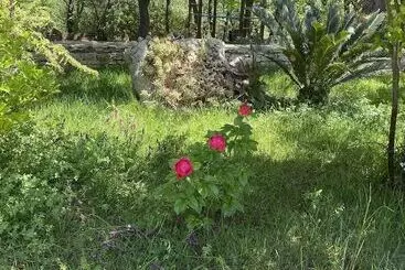 ホテル Tenuta Giannini
