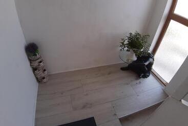 Panzió Guest House Marija