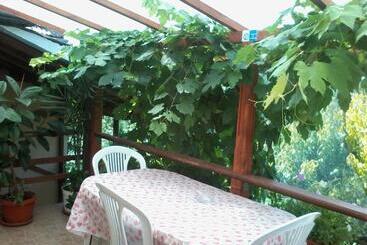 膳宿费 къща под наем Petrova