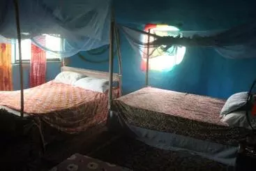 Bed and Breakfast Green Zion Garden