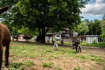 Pension Chata Pod Ostrým Vrchom