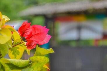 膳宿费 Hostal Ariantiy