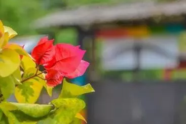 ペンション Hostal Ariantiy